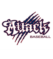 Attack Travel Baseball